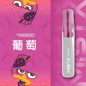 MIST X TE 鴨嘴獸 6500口 一次性電子煙｜長效續航｜拋棄式設計 × 免充電